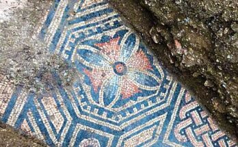 Ancient Italian Villa Reveals Hidden Roman Mosaic