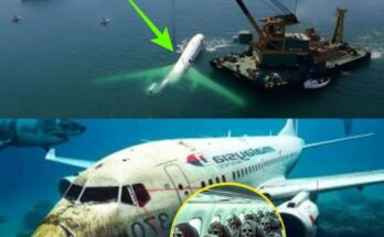 HOT NEWS: Scientists Reveal Chilling New Discovery about Malaysian Flight 370: A Game-Changer in the Mystery.