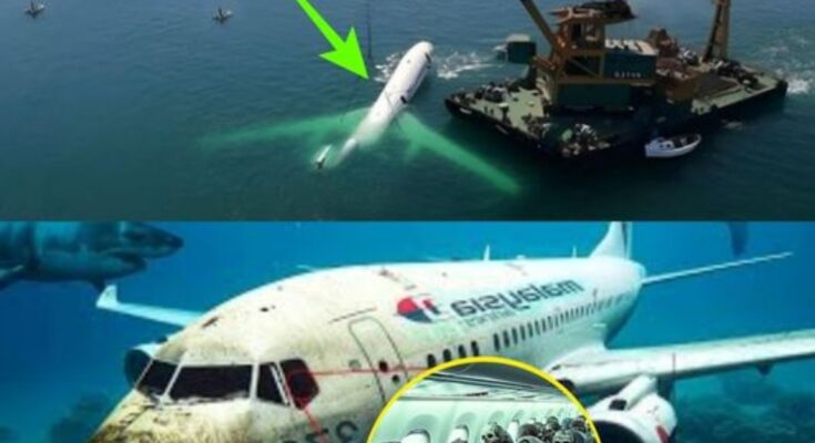 HOT NEWS: Scientists Reveal Chilling New Discovery about Malaysian Flight 370: A Game-Changer in the Mystery.