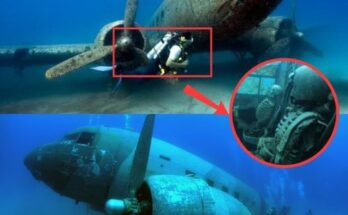 Breaking news: Strange footage of corroded plane found under ocean surface sparks global conspiracy