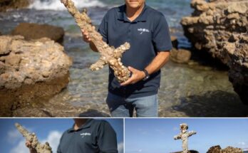 Israeli Scuba Diver Unearths Ancient Crusader Sword in the Mediterranean