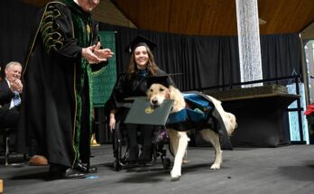 Service dog got his owner through grad school, so the university gave him his own degree