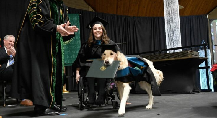 Service dog got his owner through grad school, so the university gave him his own degree