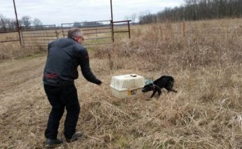 Bikers see an abandoned cage and what they find inside changes their lives forever