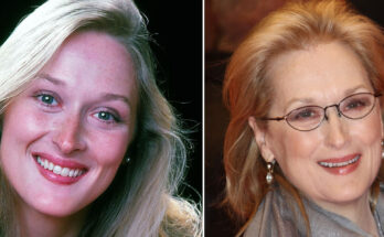 Meryl Streep’s children are all grown up – her daughter looks exactly like her