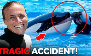 SeaWorld trainer yelled ‘my neck is broken’ after being body slammed by most dangerous orca