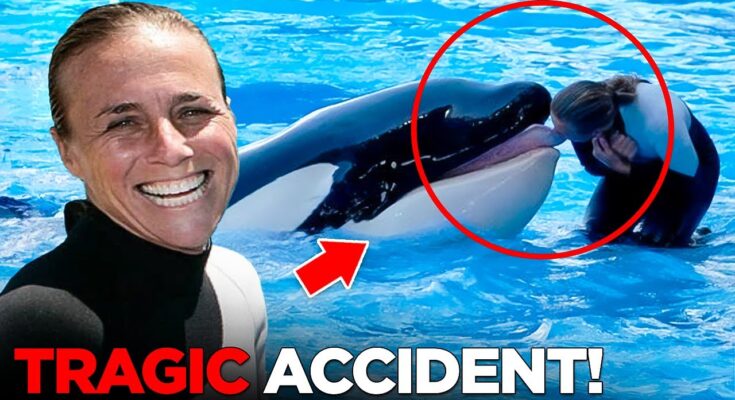 SeaWorld trainer yelled ‘my neck is broken’ after being body slammed by most dangerous orca