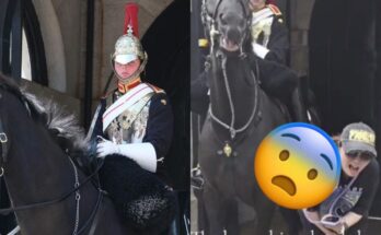 Tourist refuses warnings and gets bitten by King’s Guard horse.