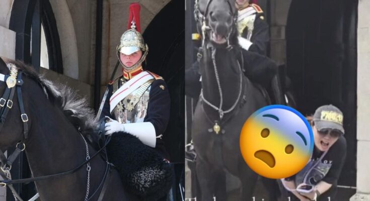 Tourist refuses warnings and gets bitten by King’s Guard horse.