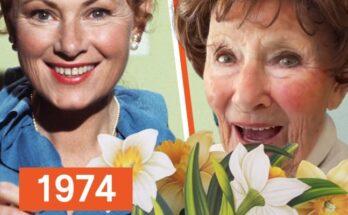 7 Legendary Celebs You Won’t Believe Are Now over 90 Years Old – Photos