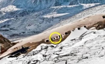 Researchers are astounded when they see what’s inside a long-lost plane that was recently discovered.