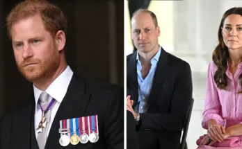 The Strained Relationship between Prince William and Prince Harry