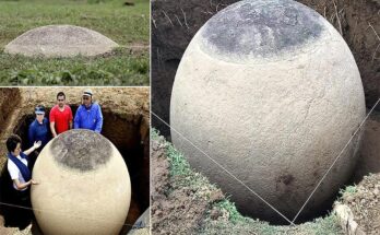 These stone spheres you see are not some fanciful creation pulled from the pages of a sci-fi novel